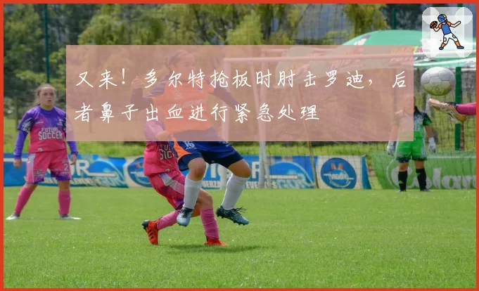 又来！多尔特抢板时肘击罗迪，后者鼻子出血进行紧急处理