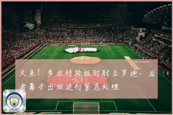 又来！多尔特抢板时肘击罗迪，后者鼻子出血进行紧急处理