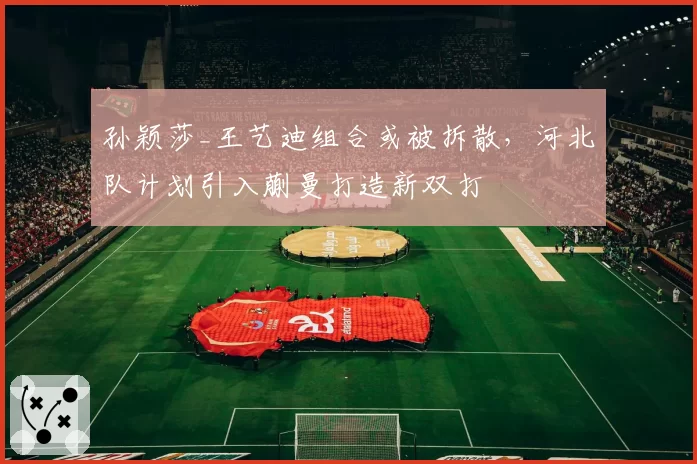 孙颖莎_王艺迪组合或被拆散，河北队计划引入蒯曼打造新双打